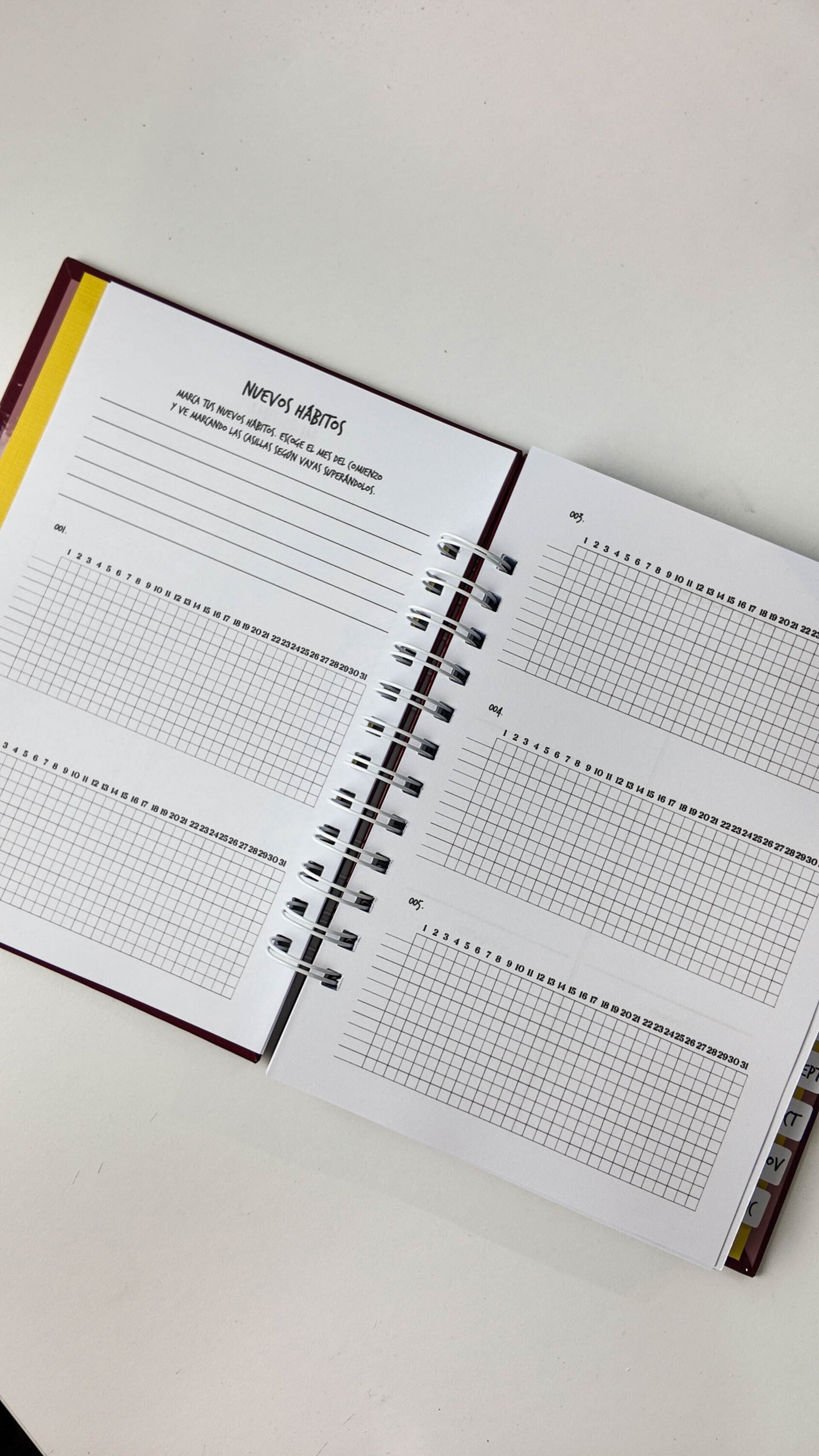 Agenda semanal portada PERSONALIZADA - Frida - 4